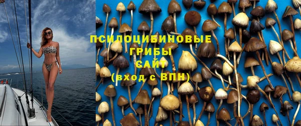 mdma Зерноград