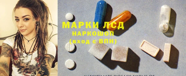 прущие грибы Зеленокумск