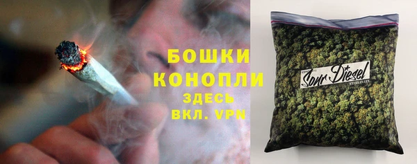 прущие грибы Зеленокумск