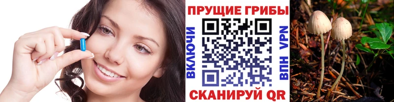 Галлюциногенные грибы ЛСД  Купить где  Гуково 